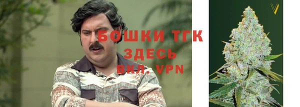 дживик Аркадак