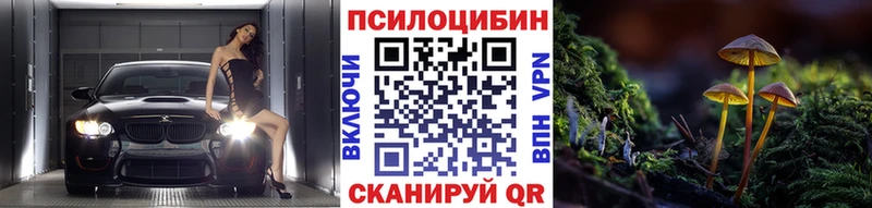 darknet наркотические препараты Советская Гавань Галлюциногенные грибы Magic Shrooms